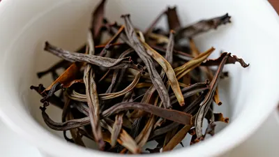 中秋倒计时十日：凤凰山的茶仓与炭焙老人